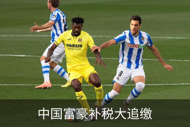 中国富豪补税大追缴