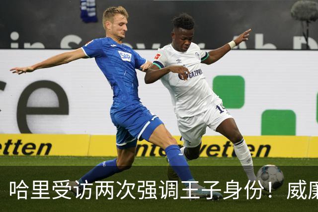 哈里受访两次强调王子身份！威廉被问称呼，却只说怎么合适怎么来