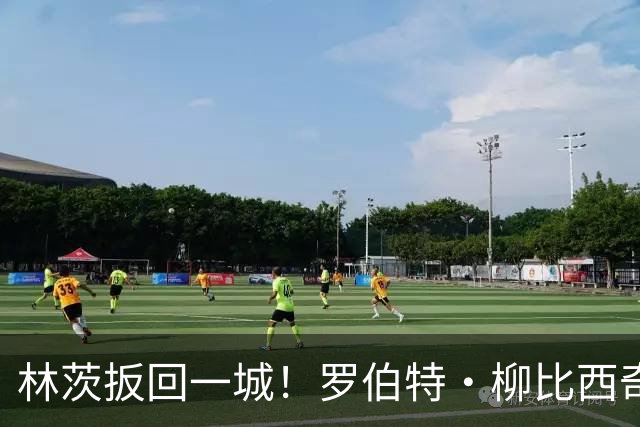 林茨扳回一城！罗伯特·柳比西奇破门