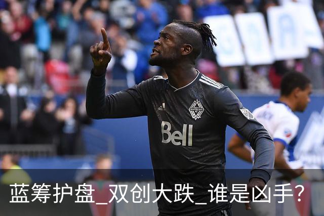 蓝筹护盘 双创大跌 谁是凶手？