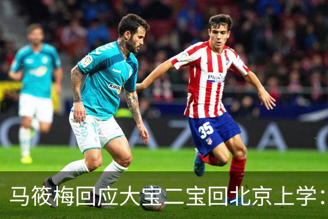 马筱梅回应大宝二宝回北京上学：不是我能做主